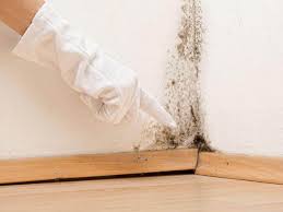 Best Attic Mold Removal  in Mineral Wells, TX